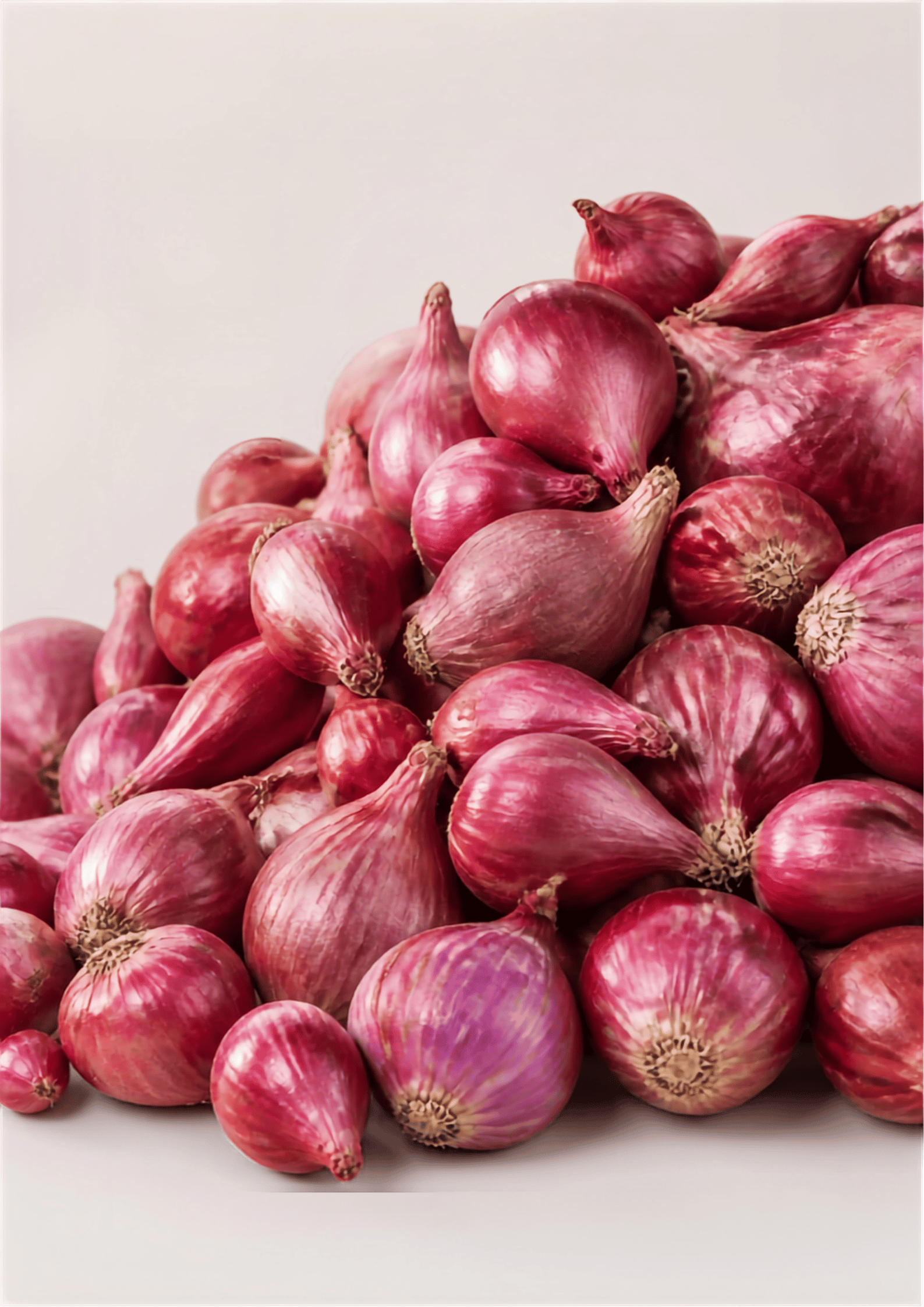 Bawang Merah / 100 gr